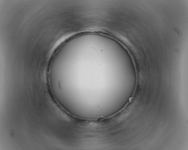 X0000113871412200910081717