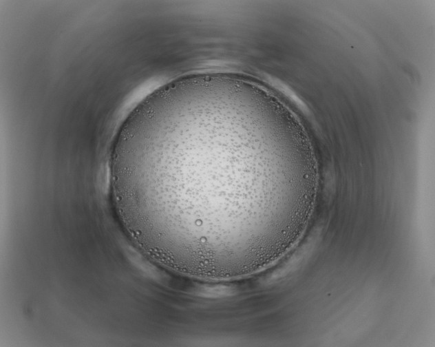 X0000113871413200910081717