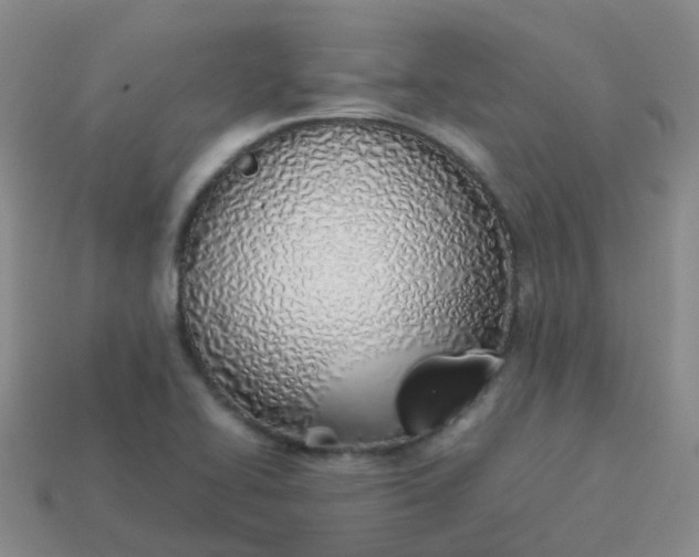 X0000113871414200910081717