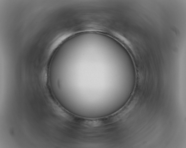 X0000113871415200910081717