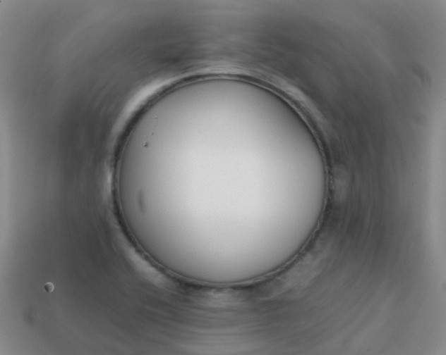 X0000113871416200910081717