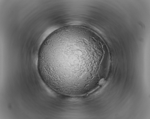 X0000113871418200910081717