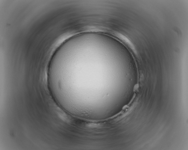 X0000113871419200910081717