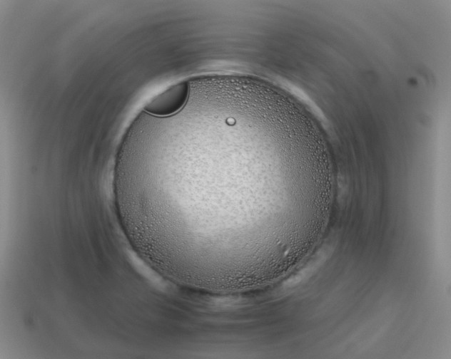 X0000113871421200910081717