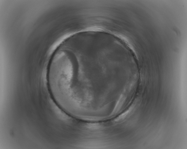 X0000113871422200910081717