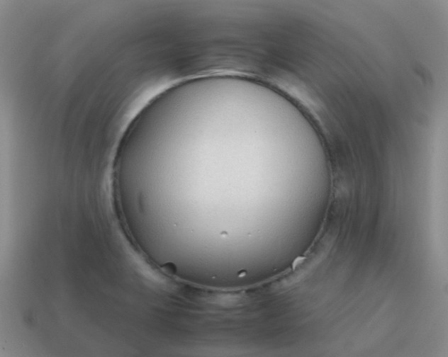 X0000113871423200910081717