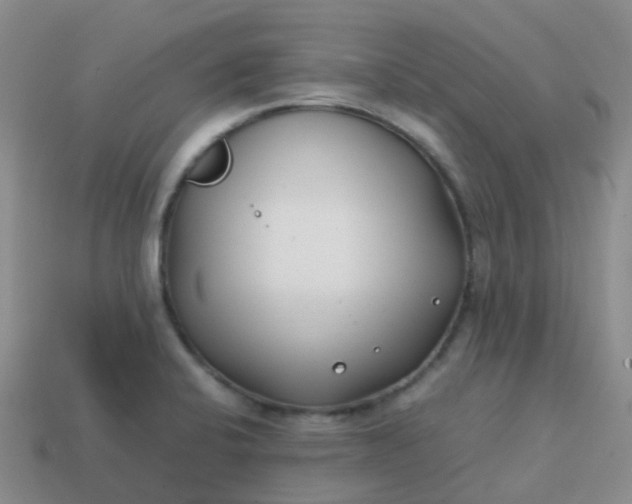 X0000113871424200910081717