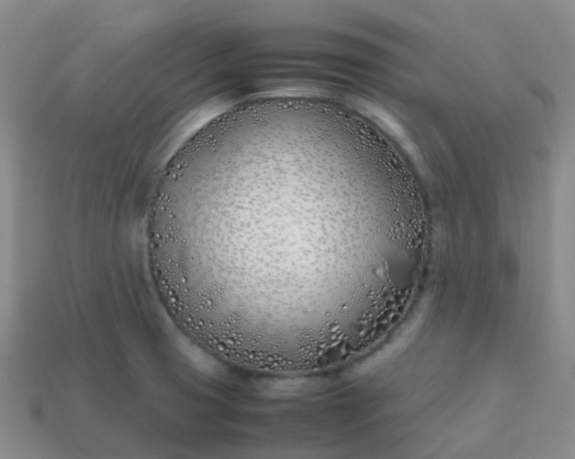 X0000113871425200910081717