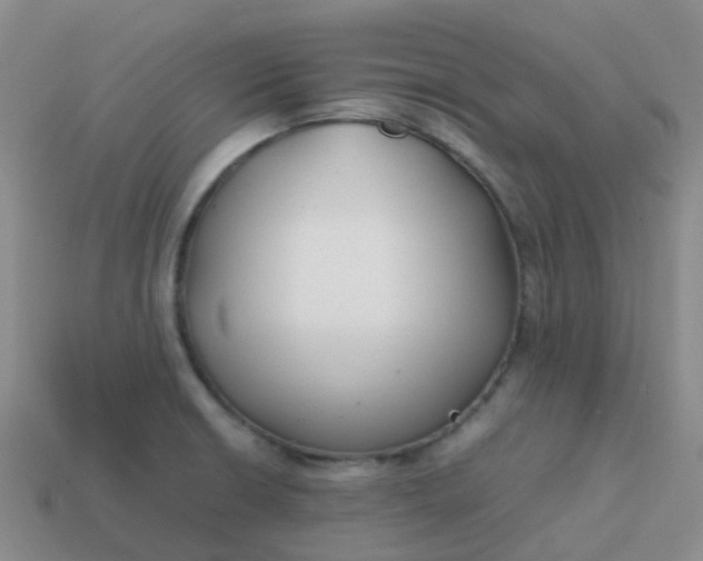 X0000113871426200910081717