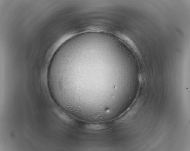 X0000113871427200910081717