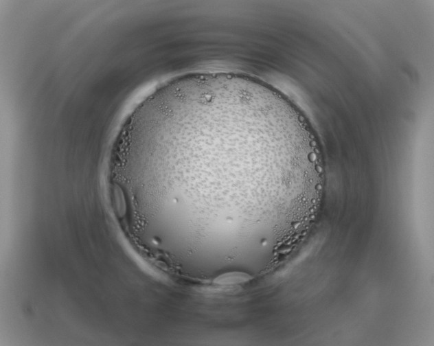 X0000113871429200910081717