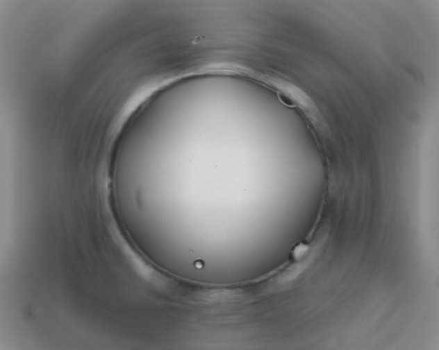 X0000113871430200910081717