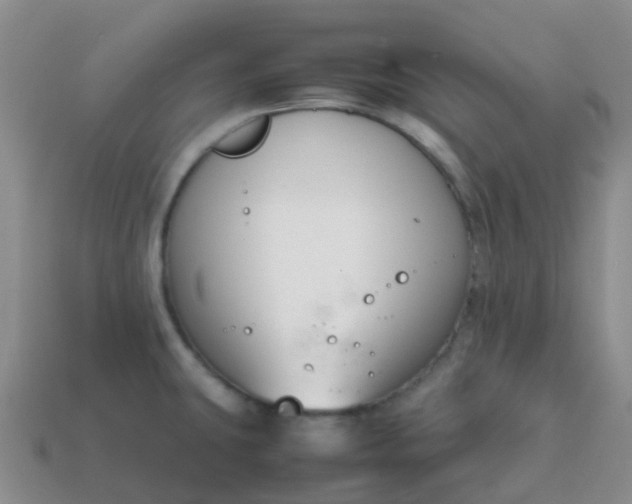 X0000113871431200910081717