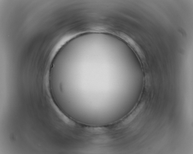 X0000113871432200910081717