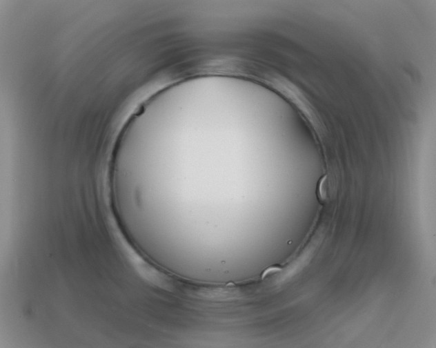 X0000113871434200910081717