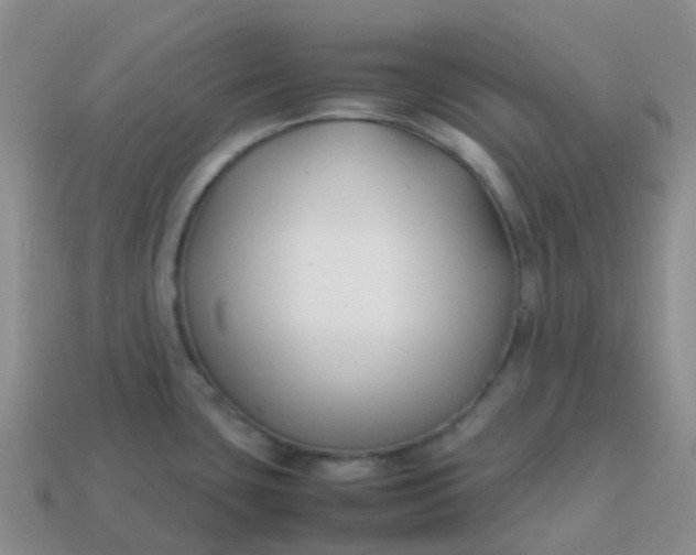 X0000113871435200910081717