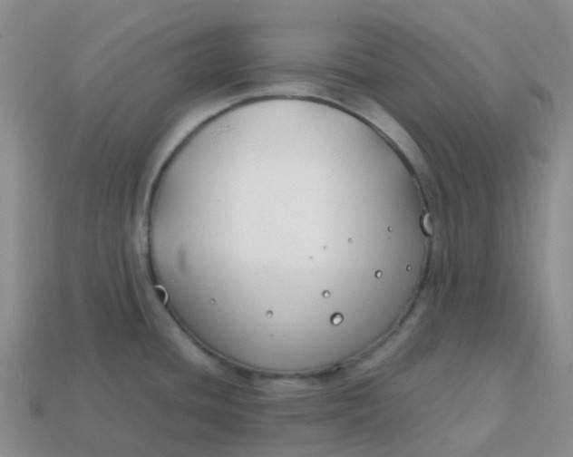 X0000113871436200910081717