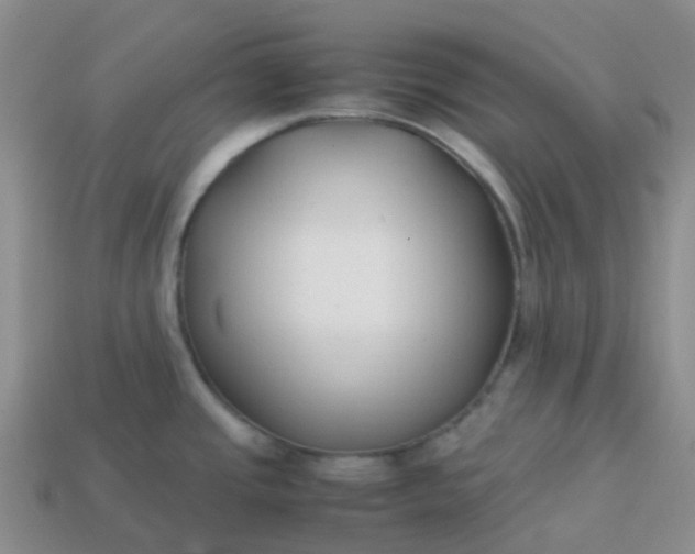 X0000113871437200910081717