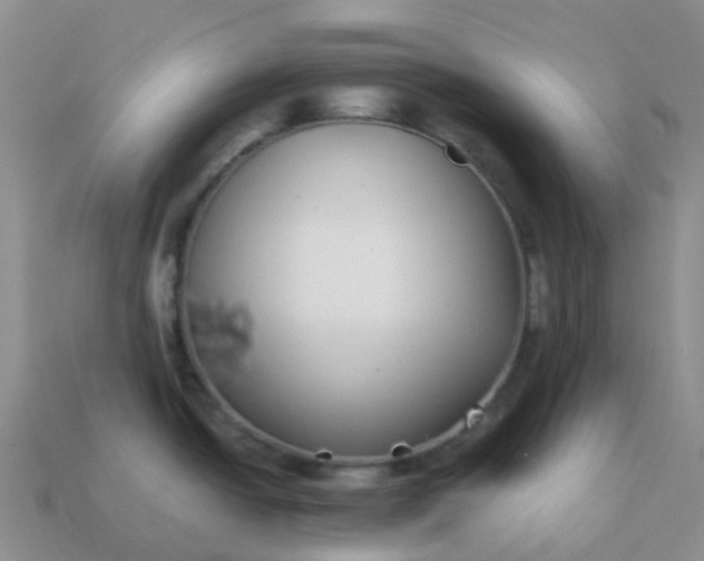 X0000113871438200910081717