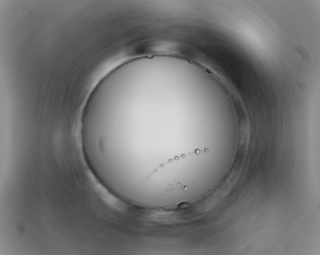 X0000113871439200910081718