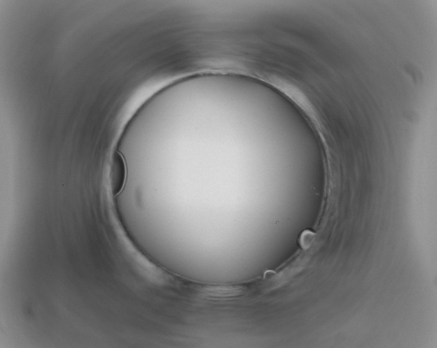 X0000113871440200910081718