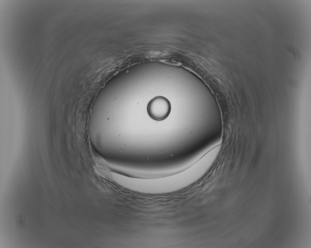 X0000113871441200910081717