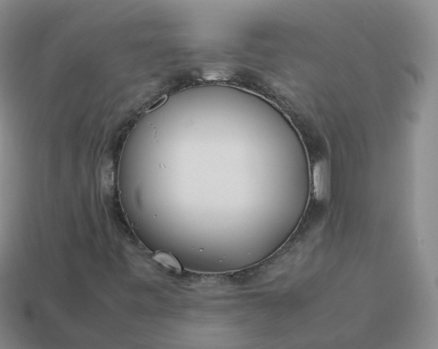 X0000113871443200910081717