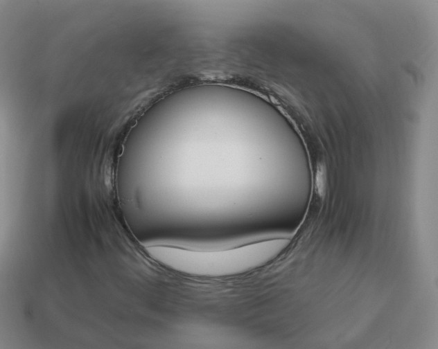 X0000113871444200910081717