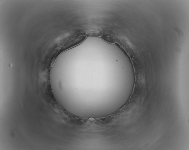 X0000113871445200910081717