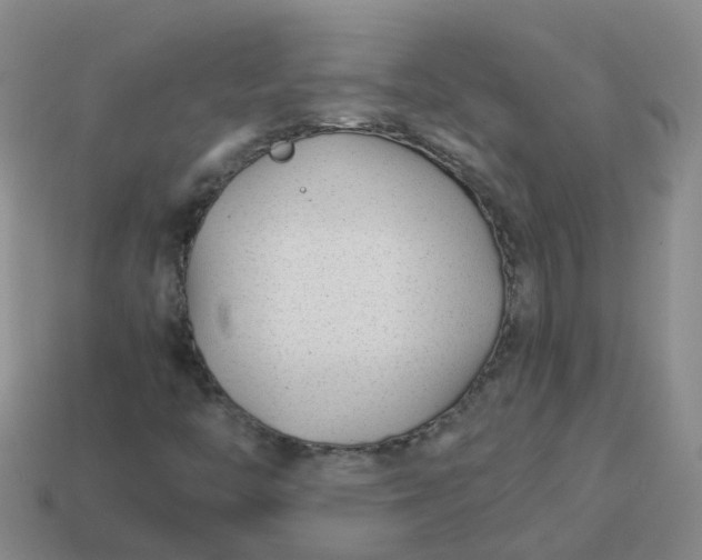 X0000113871446200910081717