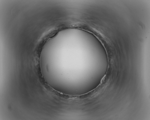 X0000113871447200910081717