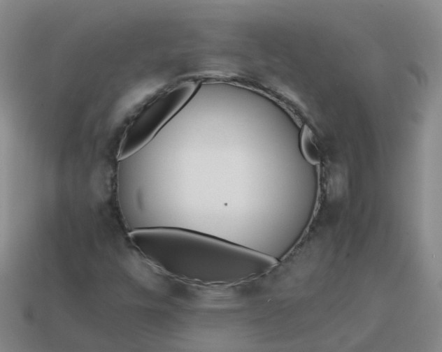 X0000113871448200910081717