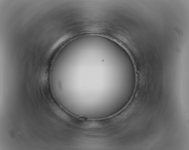 X0000113871450200910081717