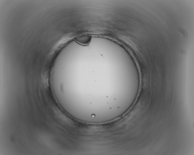 X0000113871451200910081717