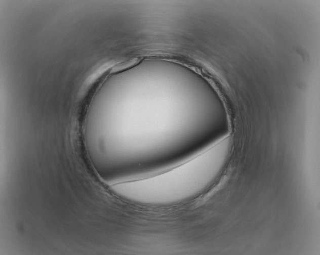 X0000113871453200910081717