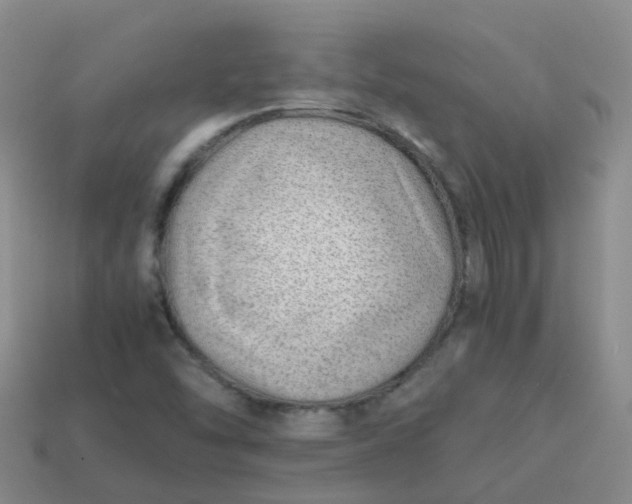 X0000113871454200910081717