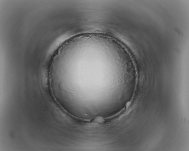 X0000113871455200910081717