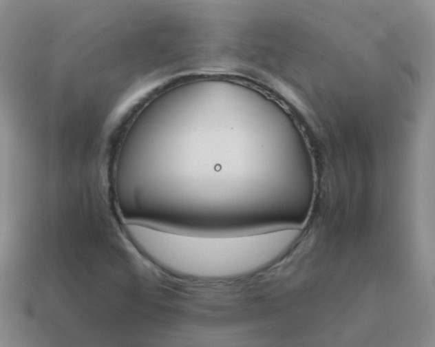 X0000113871456200910081717