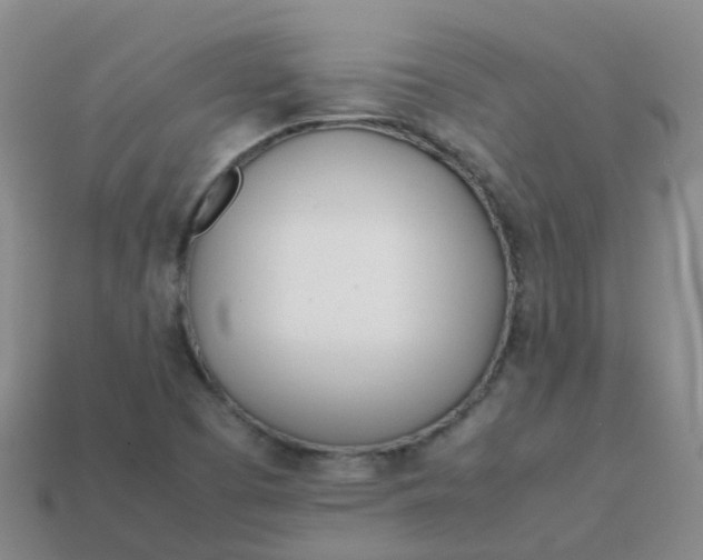 X0000113871457200910081717