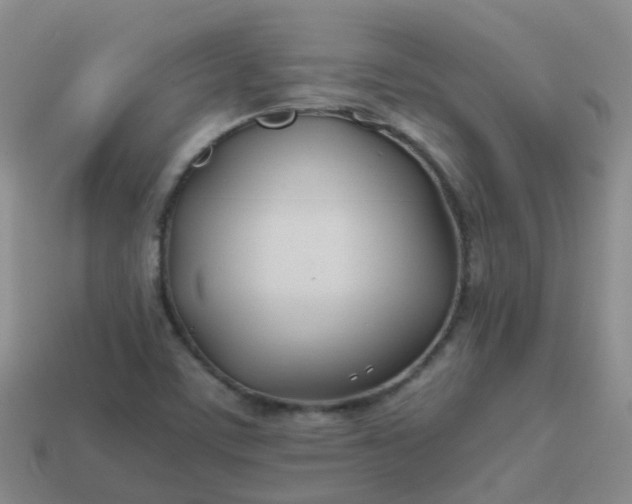 X0000113871459200910081716