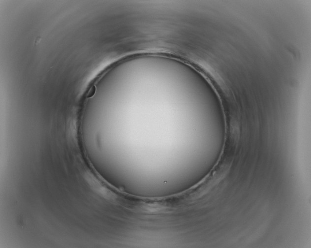 X0000113871460200910081716