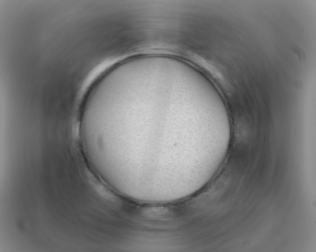 X0000113871462200910081716