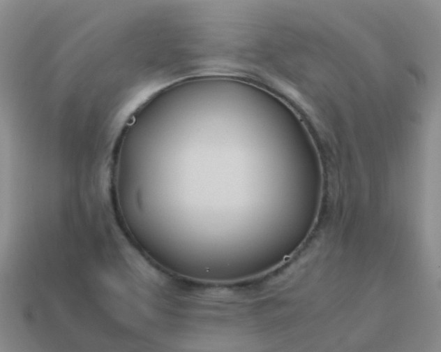 X0000113871463200910081716