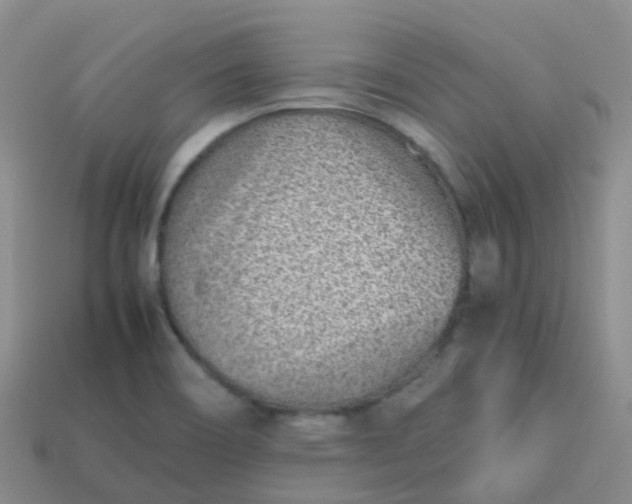 X0000113871466200910081716