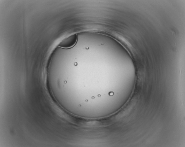 X0000113871467200910081716