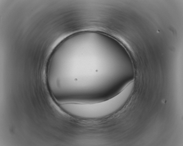 X0000113871468200910081716