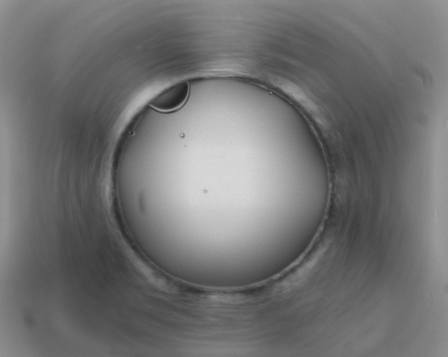 X0000113871469200910081716