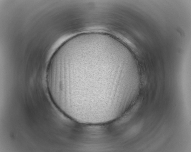 X0000113871470200910081716