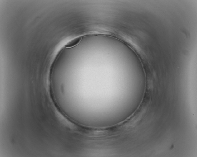 X0000113871471200910081716