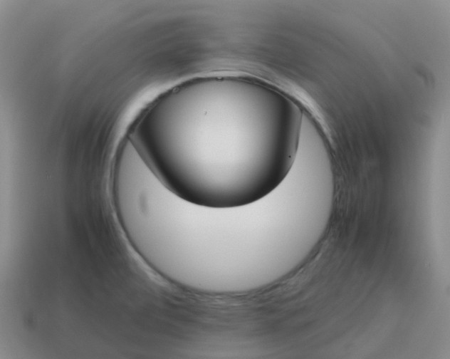 X0000113871472200910081716